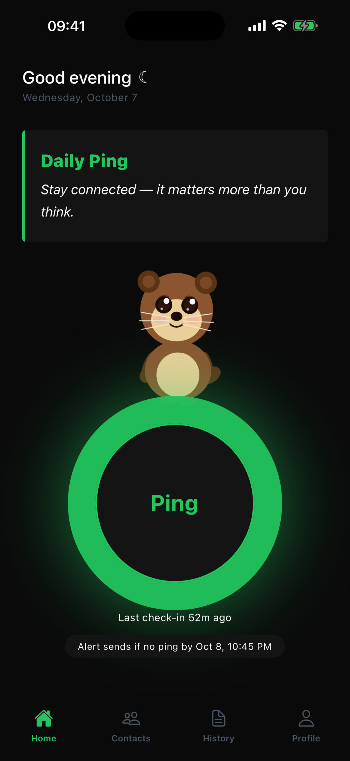 Daily Ping home screen with a friendly mascot, a large green Ping button, the last check-in time, and the next alert deadline.